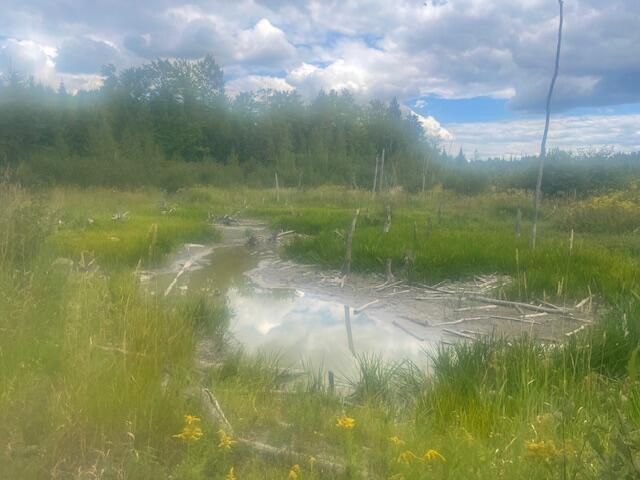 199 Elm Street Mercer, ME 04957 - Photo 26 of 31 IMG_6232