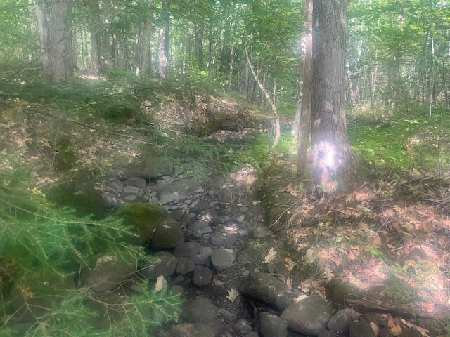 199 Elm Street Mercer, ME 04957 - Photo 27 of 31 IMG_6233