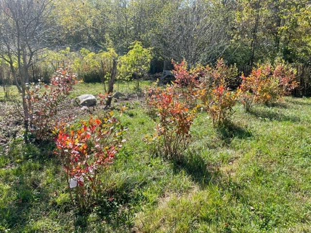 199 Elm Street Mercer, ME 04957 - Photo 29 of 31 IMG_6889