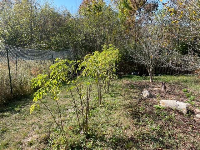 199 Elm Street Mercer, ME 04957 - Photo 30 of 31 IMG_6890