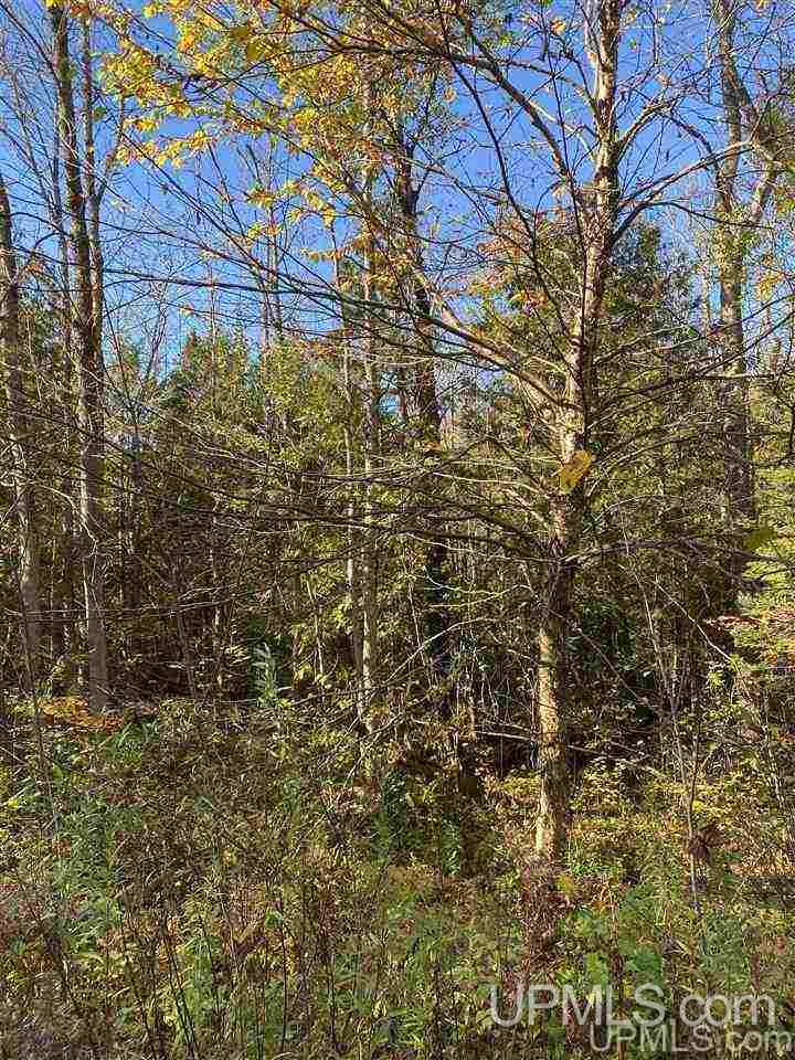 T-wi Wi 54534 Road Hurley, WI 54534 - Photo 16 of 35