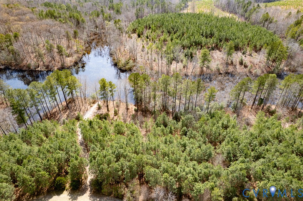 32082 Sparta Road Milford, VA 22514 - Photo 17 of 39