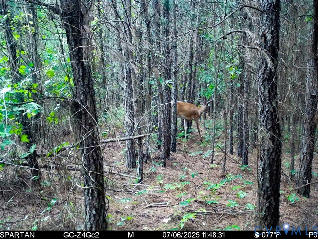 32082 Sparta Road Milford, VA 22514 - Photo 20 of 39