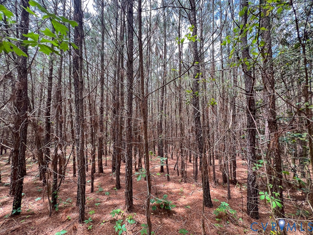 32082 Sparta Road Milford, VA 22514 - Photo 21 of 39