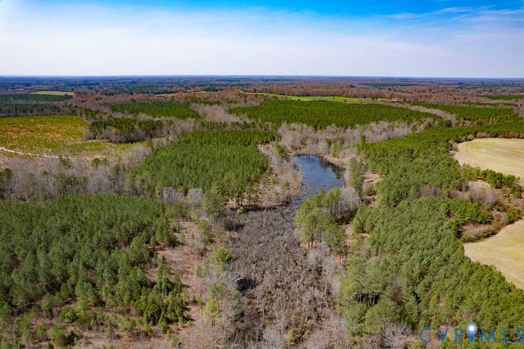 32082 Sparta Road Milford, VA 22514 - Photo 22 of 39