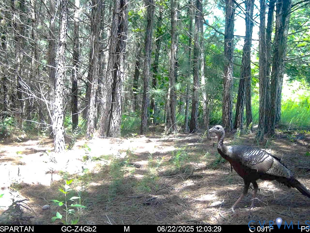 32082 Sparta Road Milford, VA 22514 - Photo 27 of 39