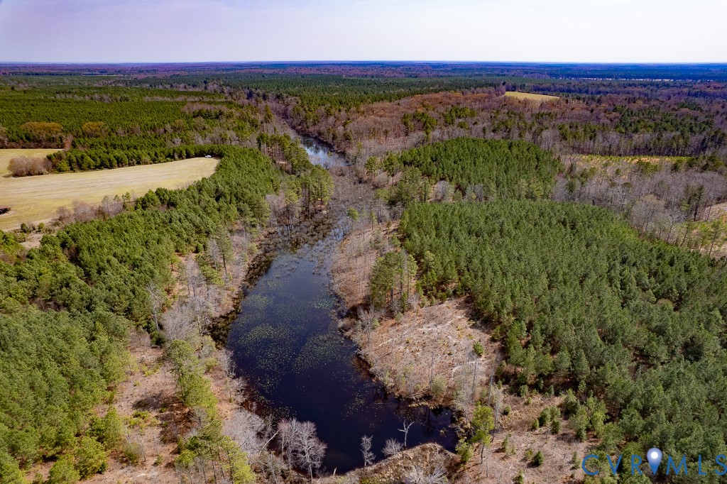 32082 Sparta Road Milford, VA 22514 - Photo 31 of 39