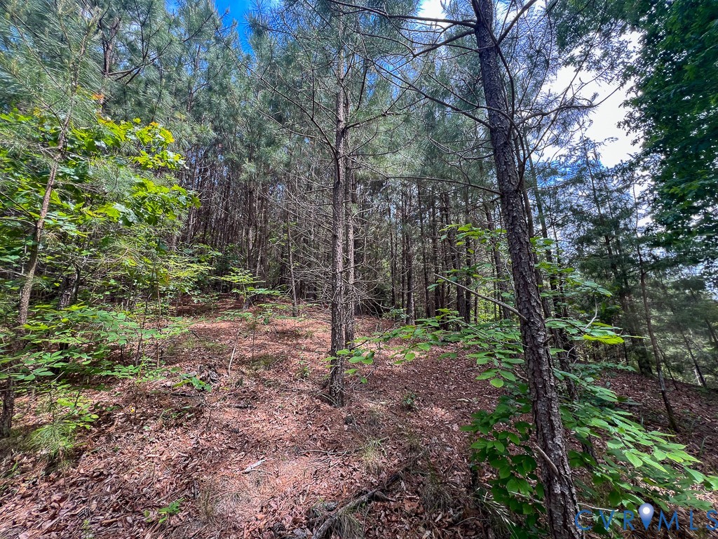 32082 Sparta Road Milford, VA 22514 - Photo 32 of 39