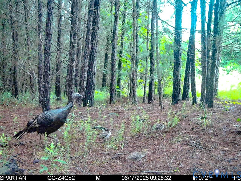 32082 Sparta Road Milford, VA 22514 - Photo 4 of 39