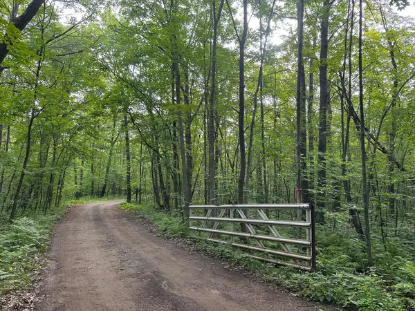$109,000 | Xxx Wilson Lake Drive, Deerwood, MN 56444