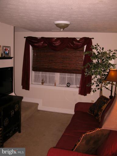 12555 Olivet Road Lusby, MD 20657 - Photo 22 of 30 Living Room