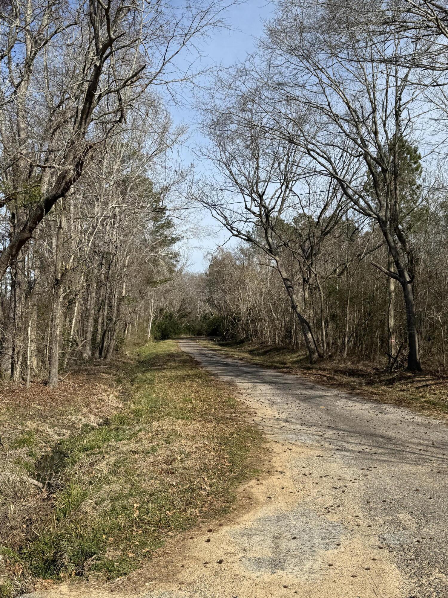 1 Planer Road Edgefield, SC 29824 - Photo 1 of 13