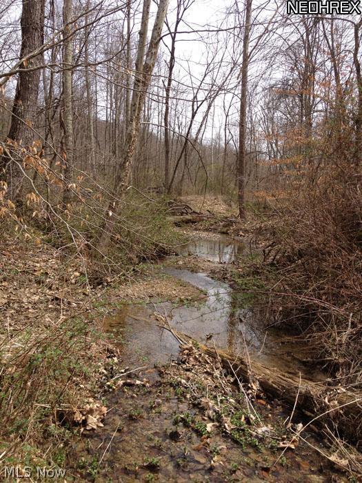 Fattler Ridge Road Philo, OH 43771 - Photo 2 of 5