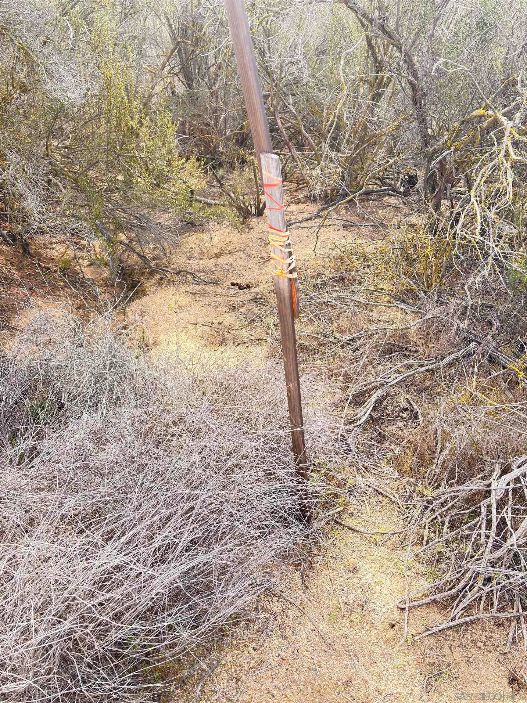 0 Star Ranch Road Campo, CA 91906 - Photo 4 of 11