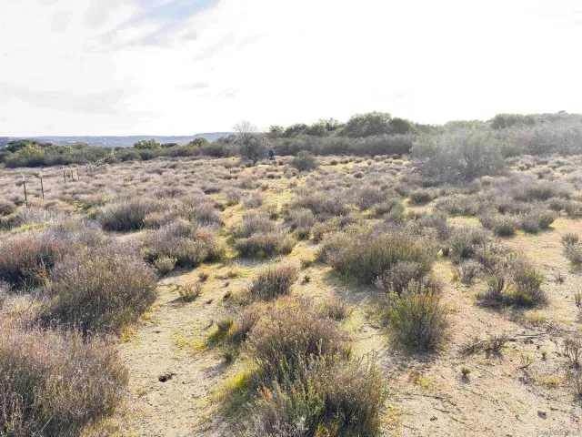 a view of a dry yard
