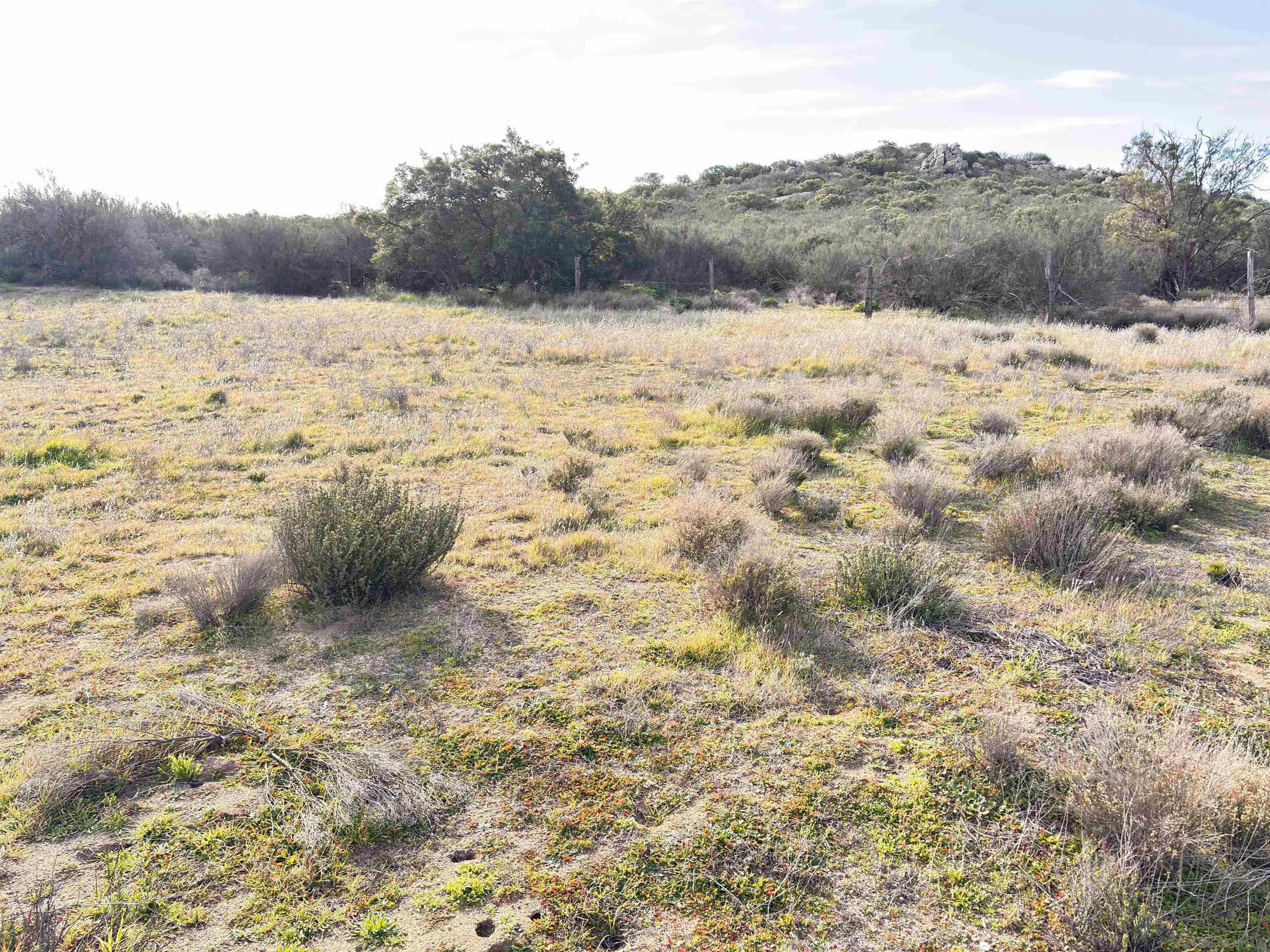 0 Star Ranch Road Campo, CA 91906 - Photo 7 of 11