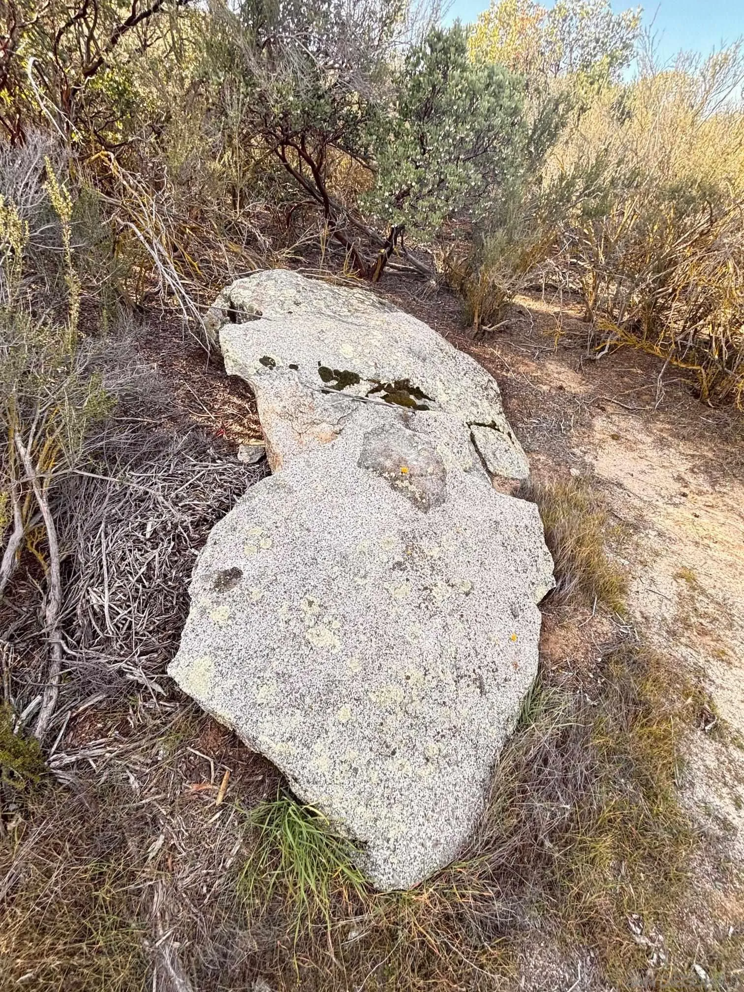 0 Star Ranch Road Campo, CA 91906 - Photo 9 of 11
