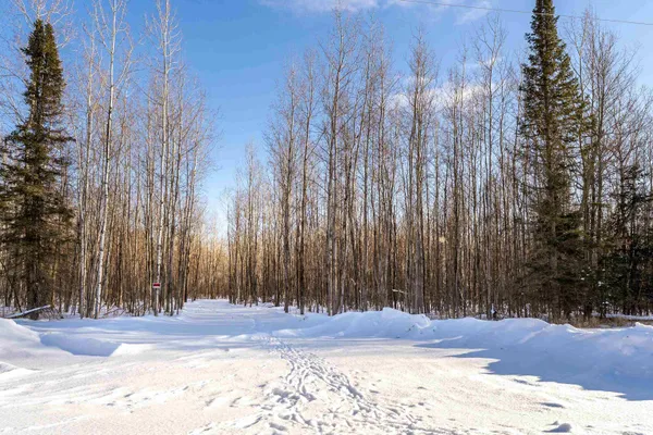 $259,900 | Xxx2 Elde Road, Cotton, MN 55724