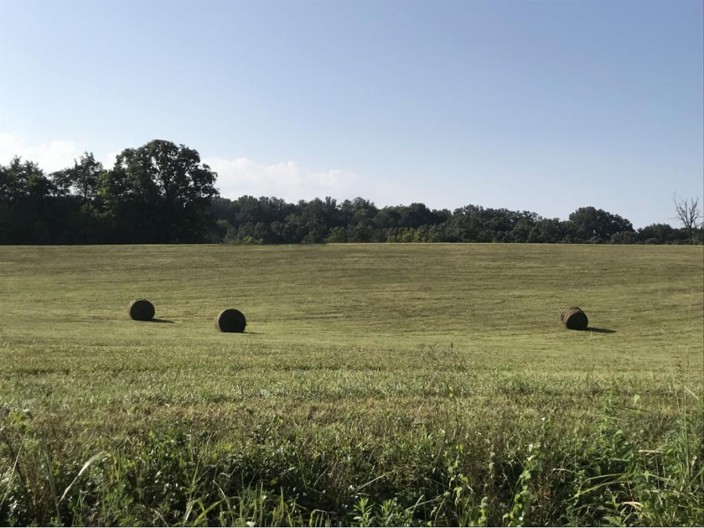 Lot 1-2 Timber Ridge Road Greeneville, TN 37743 - Photo 12 of 30 Photo 12