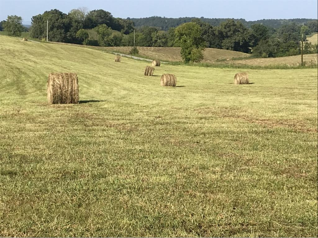 Lot 1-2 Timber Ridge Road Greeneville, TN 37743 - Photo 13 of 30 Photo 13