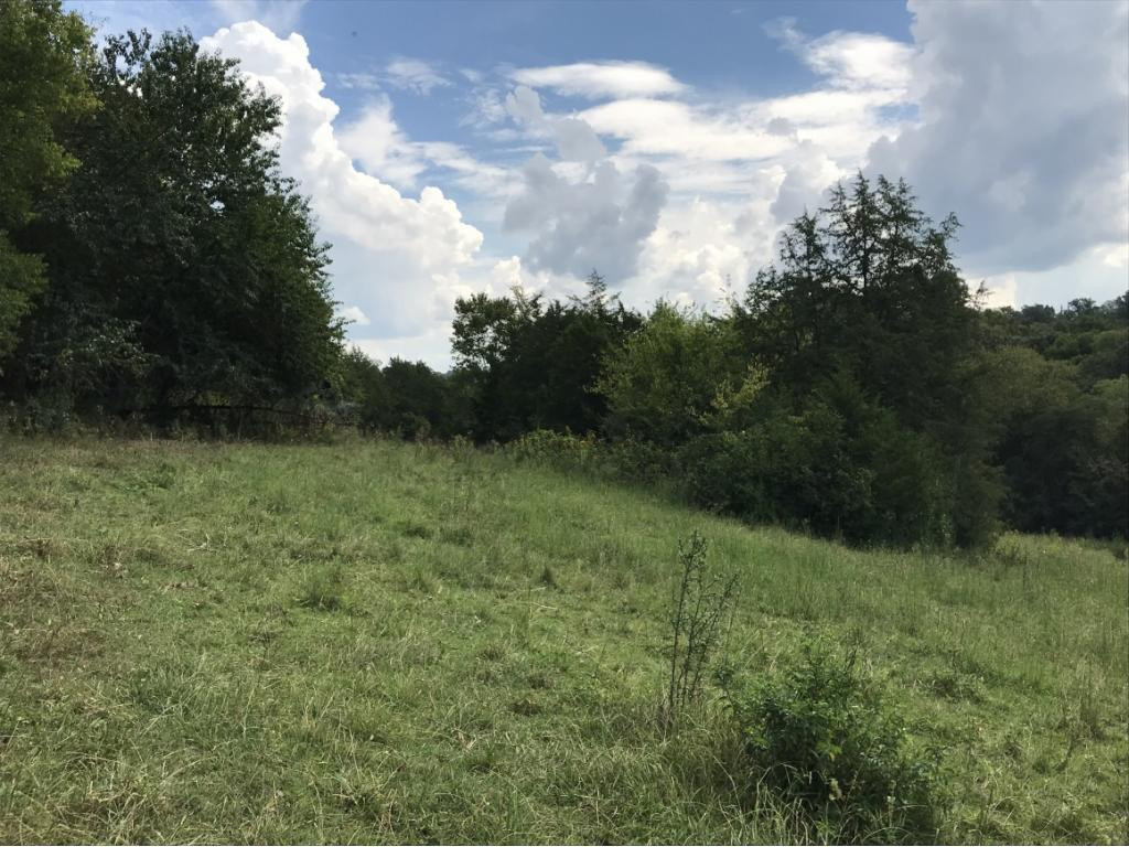 Lot 1-2 Timber Ridge Road Greeneville, TN 37743 - Photo 17 of 30 Photo 17