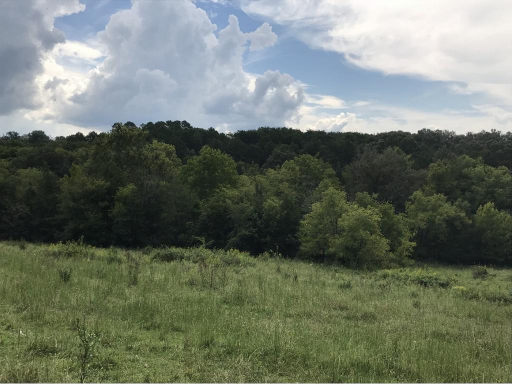 Lot 1-2 Timber Ridge Road Greeneville, TN 37743 - Photo 18 of 30 Photo 18