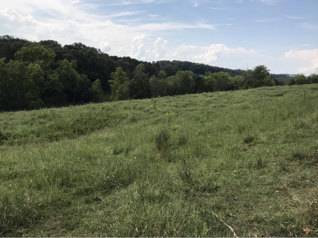 Lot 1-2 Timber Ridge Road Greeneville, TN 37743 - Photo 19 of 30 Photo 19