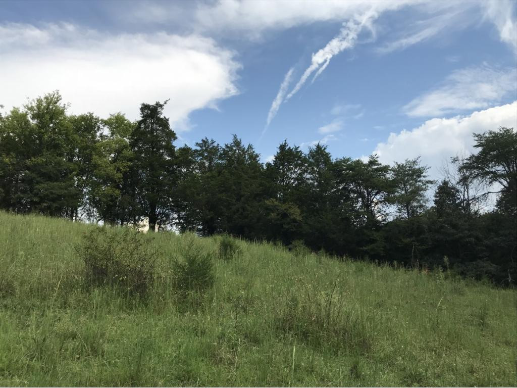 Lot 1-2 Timber Ridge Road Greeneville, TN 37743 - Photo 20 of 30 Photo 20
