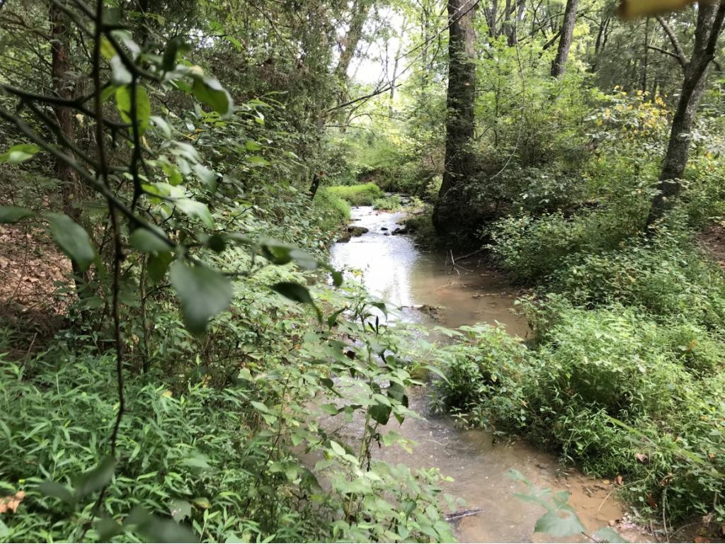 Lot 1-2 Timber Ridge Road Greeneville, TN 37743 - Photo 21 of 30 Photo 21