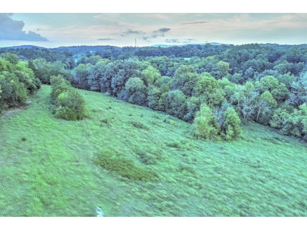 Lot 1-2 Timber Ridge Road Greeneville, TN 37743 - Photo 28 of 30 Photo 28
