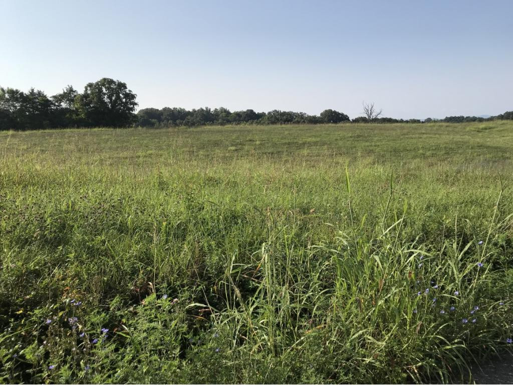 Lot 1-2 Timber Ridge Road Greeneville, TN 37743 - Photo 3 of 30 Photo 3