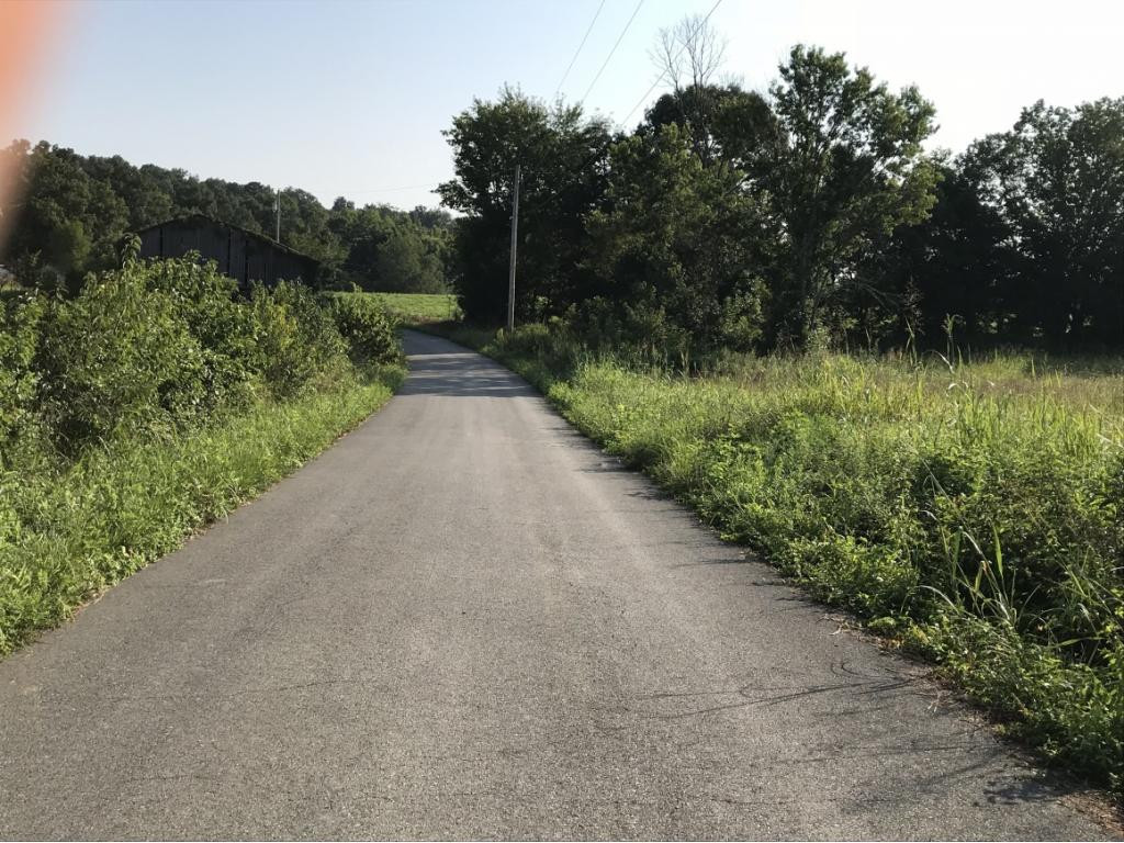 Lot 1-2 Timber Ridge Road Greeneville, TN 37743 - Photo 6 of 30 Photo 6