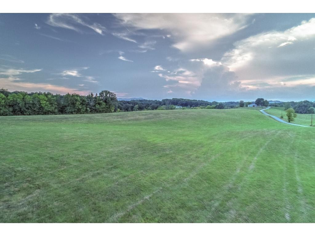 Lot 1-2 Timber Ridge Road Greeneville, TN 37743 - Photo 8 of 30 Photo 8