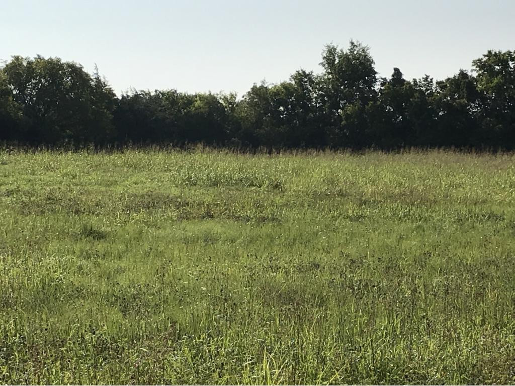 Lot 1-2 Timber Ridge Road Greeneville, TN 37743 - Photo 9 of 30 Photo 9