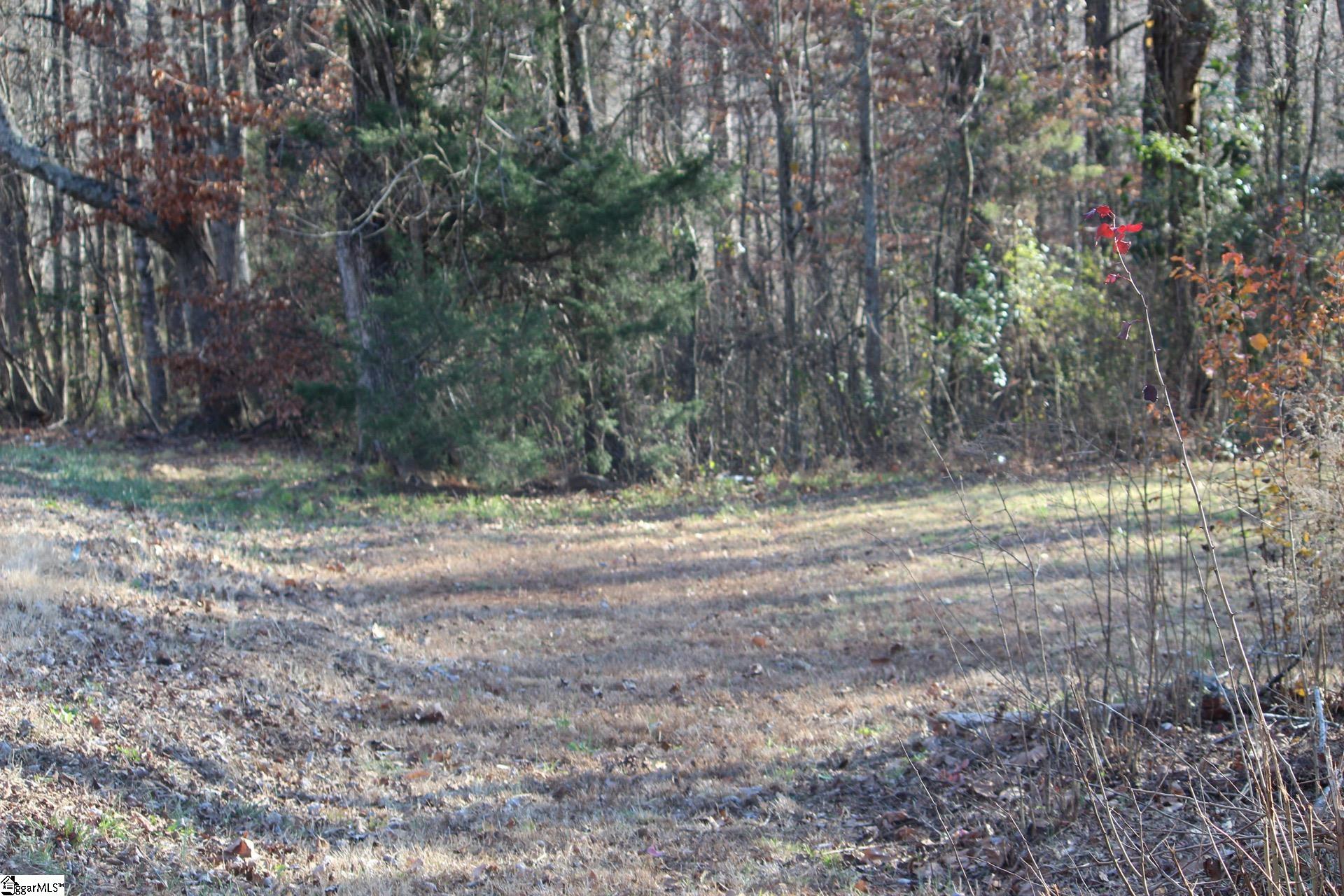195 Old River Road Pelzer, SC 29669 - Photo 22 of 22
