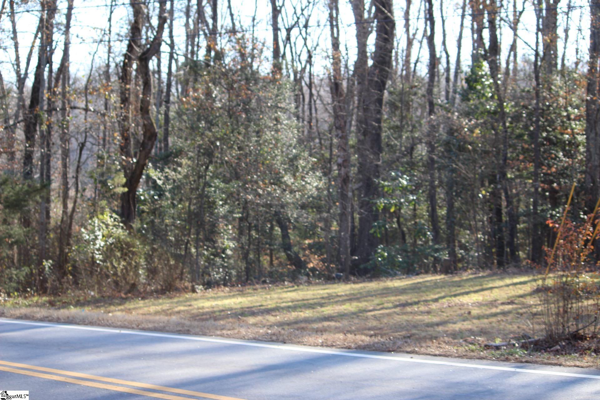 195 Old River Road Pelzer, SC 29669 - Photo 4 of 22