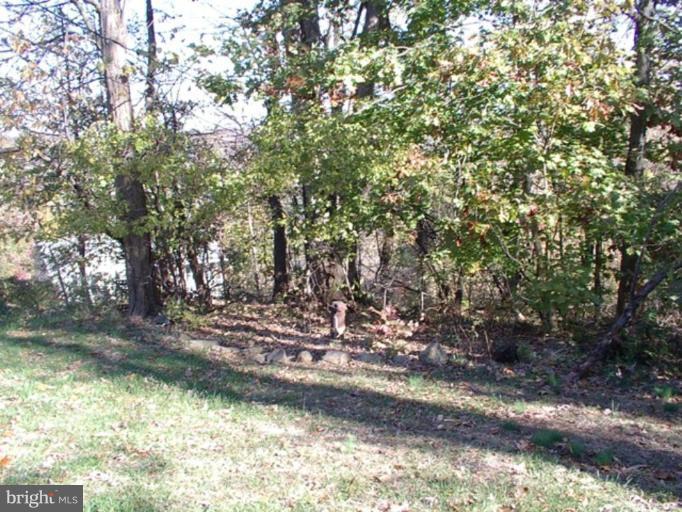 157 Remount View Road Front Royal, VA 22630 - Photo 11 of 13 a view of a tree in a yard