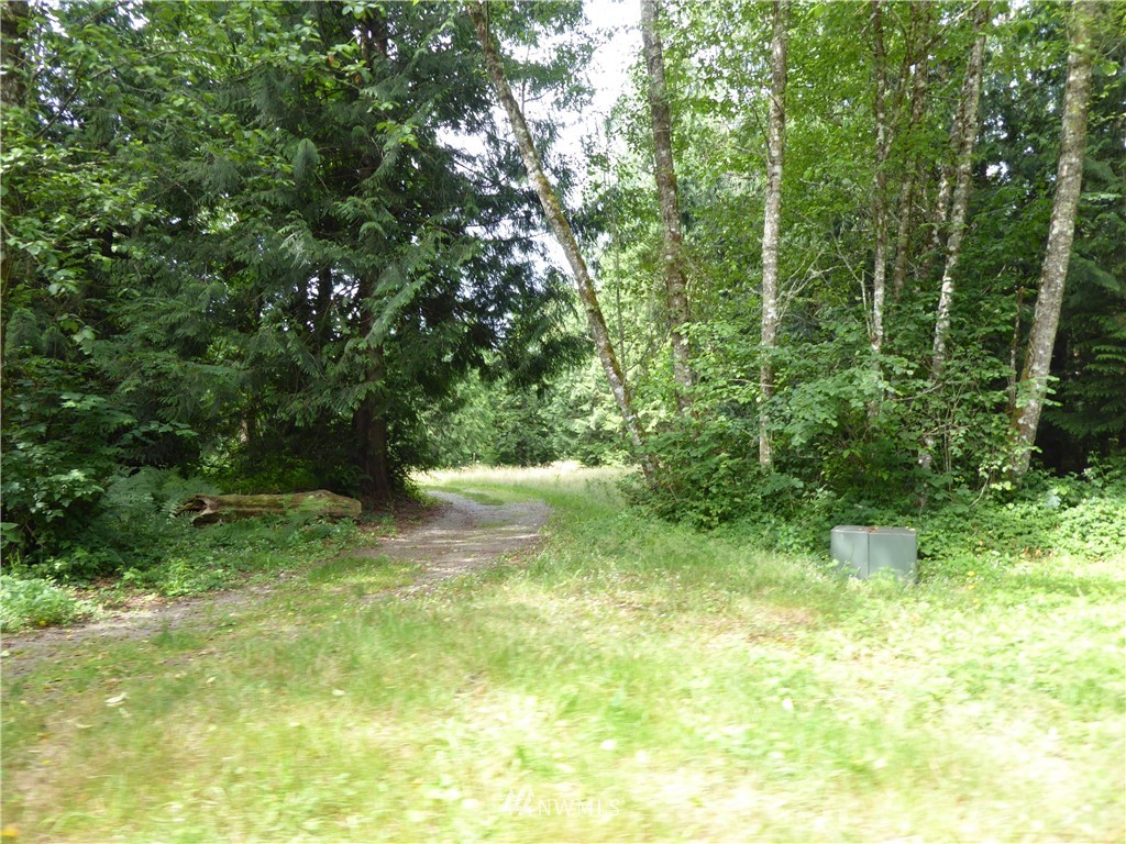 7533 Pipeline Road Sedro-Woolley, WA 98284 - Photo 3 of 3 Gallery Image 3