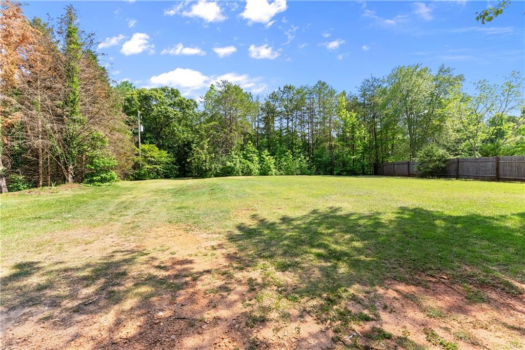 3501 Looper Lake Road Gainesville, GA 30506 - Photo 38 of 47 Gallery Image 38