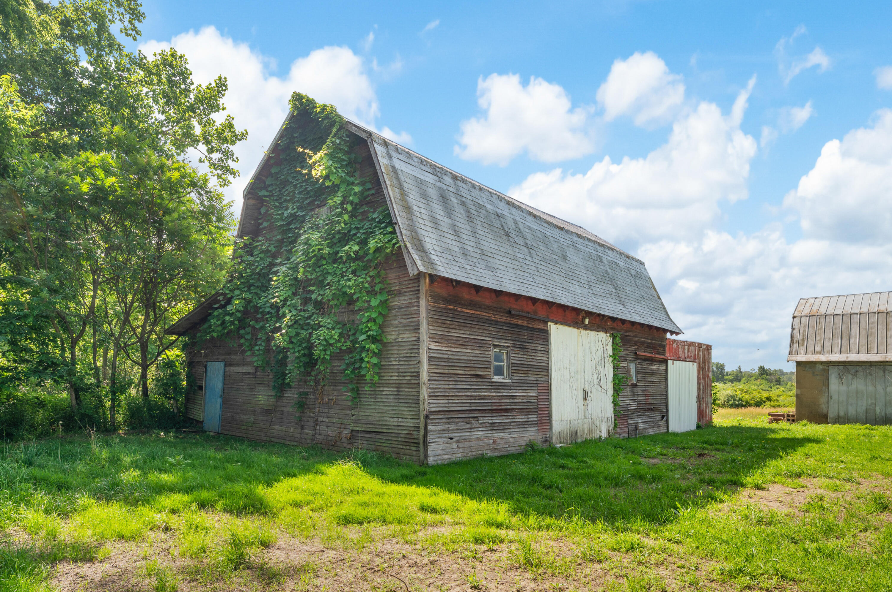 3709 Michael Road Eau Claire, MI 49111 - Photo 13 of 44 2929DSC_0792