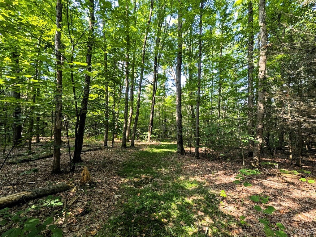 8880 Hemlock Road Wheeler, NY 14809 - Photo 27 of 50