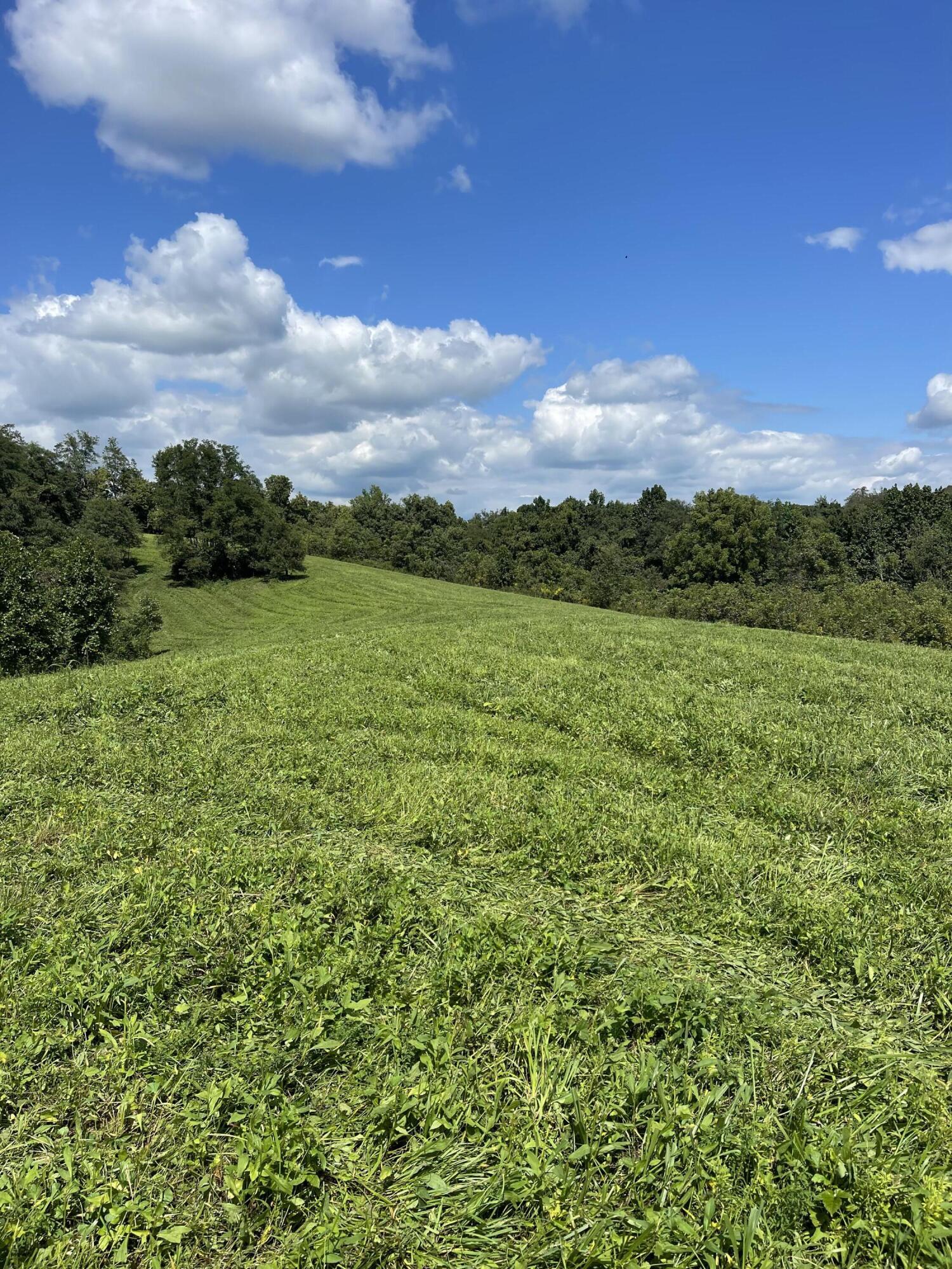 5934 Irvine Road Winchester, KY 40391 - Photo 1 of 34 D407A6E6-748C-4DC9-85F1-DE1A253AF9C2
