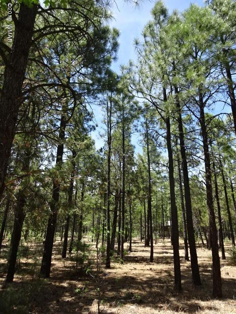 3146 West Rim Road Lakeside, AZ 85929 - Photo 1 of 6 Gallery Image 1