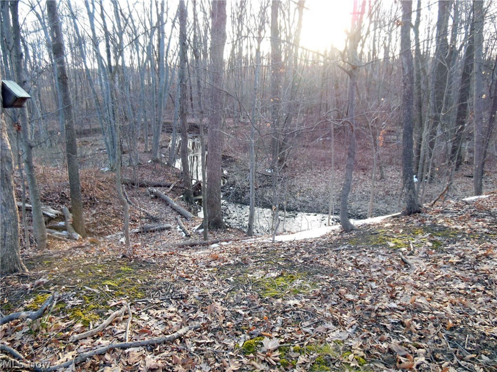 4165 Dayton Road Madison, OH 44057 - Photo 28 of 28