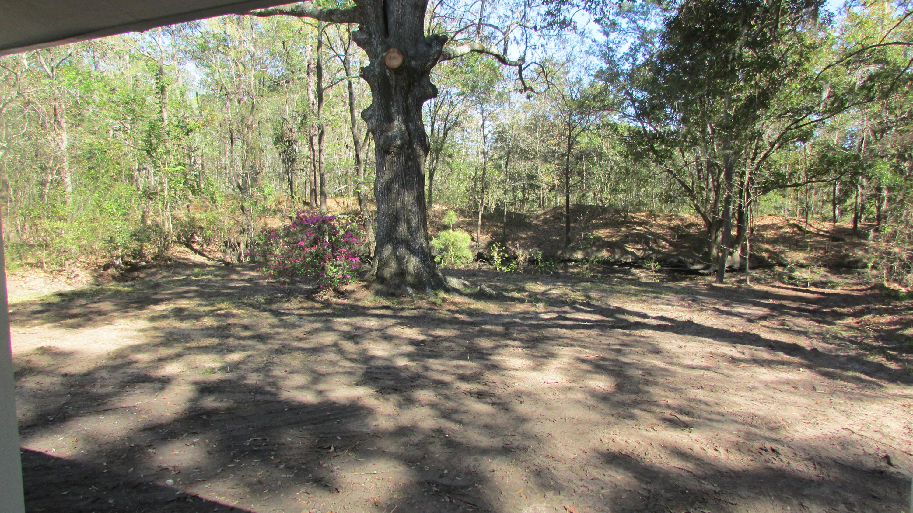2231 Burris Road Charleston, SC 29414 - Photo 18 of 23 IMG_2780