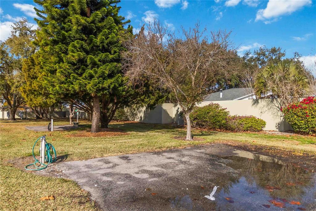 525 South Conway Road, Unit 29 Orlando, FL 32807 - Photo 27 of 29 a view of yard with tree in the background