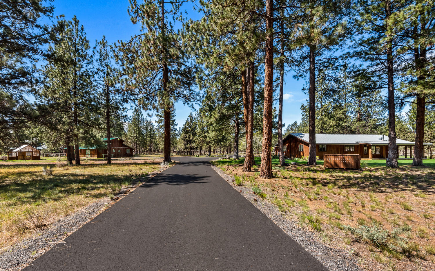 69269 Crooked Horseshoe Road Sisters, OR 97759 - Photo 1 of 43 a view of a road with trees