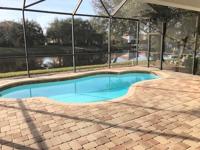 18044 Java Isle Drive Tampa, FL 33647 - Photo 25 of 38