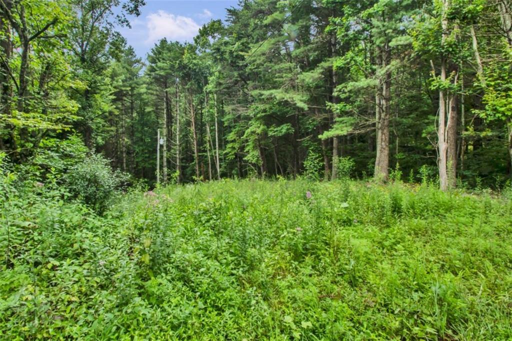 265 Holly Hill Road Suches, GA 30572 - Photo 8 of 31