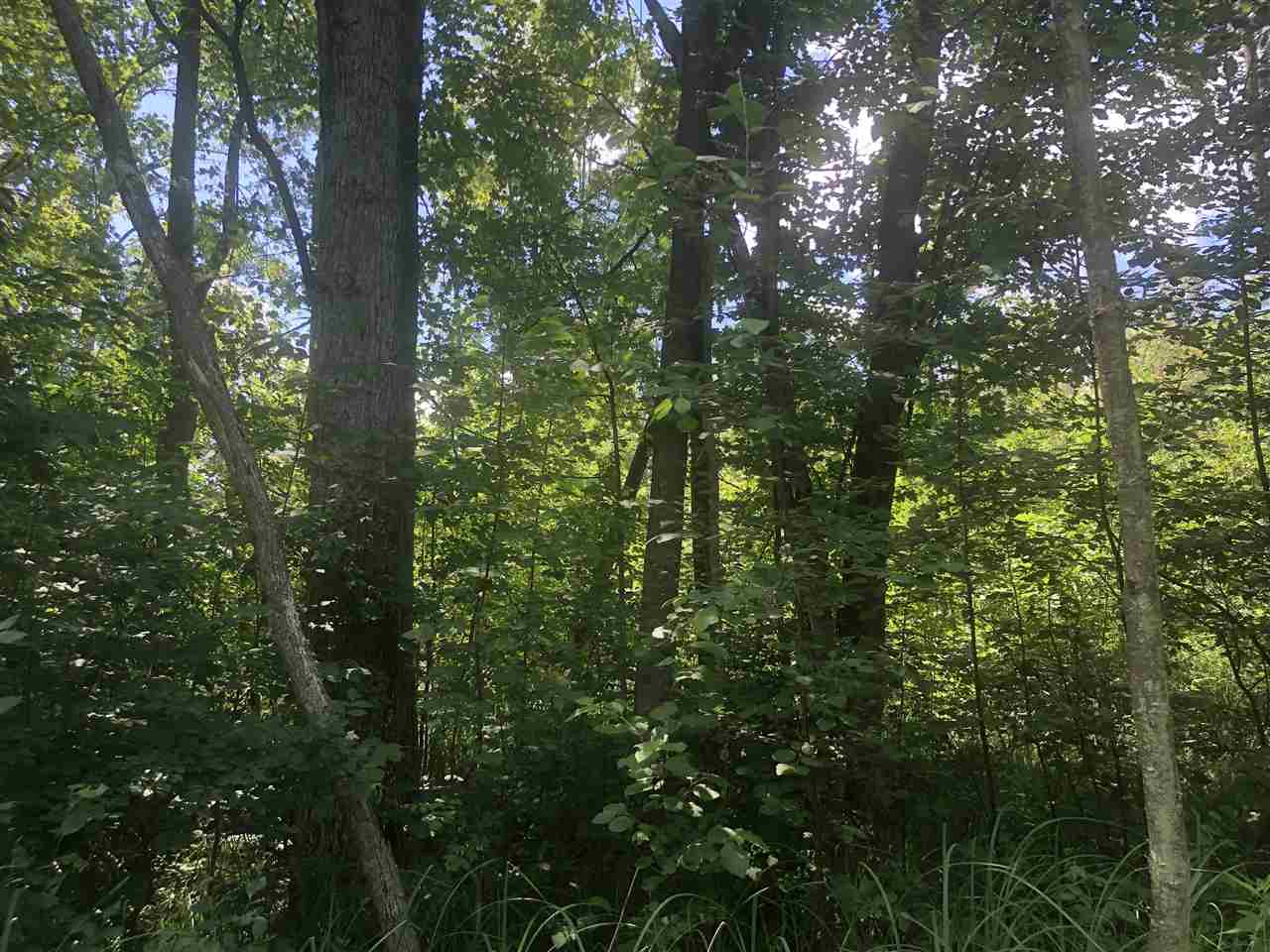 2553 Smith Road Beaverton, MI 48612 - Photo 45 of 53